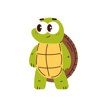 Cute baby turtle vector cartoon character isolated on a white background.
