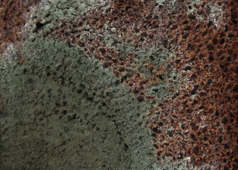 rye piece of bread with green mold close-up view from above