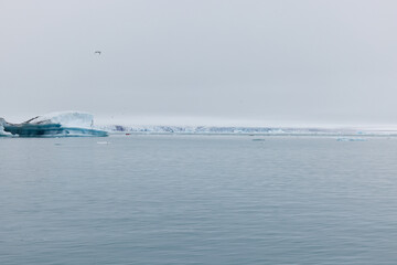 Naklejka premium A iceberg in Iceland. A iceberg flowing into the Jokulsarlon lagoon, detached from the glacier's front.