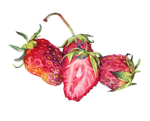 Watercolor strawberry with green leaves isolated on white background. Hand-drawn sweet summer slice berries food for kitchen. Red fruit dessert for menu. Clipart for sticker, cookbook, sketchbook