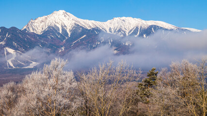 Fototapeta na wymiar 赤岳(八ヶ岳)と霧氷　絶景　冬