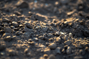 Black earth with sunlit ground mounds. ground before planting seeds and growing vegetables or soybeans.