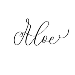 Fototapeta na wymiar Aloe lettering inscription, simple vector illustration, background, label design, logo.