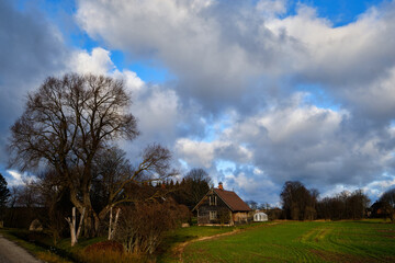 old peasant house with large tree iwitn no leaves in autumn with clouds in the sky