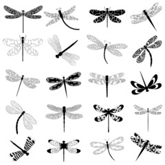 dragonfly black silhouette, set, isolated - obrazy, fototapety, plakaty