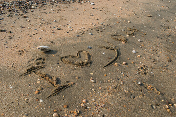 footprint on the sand