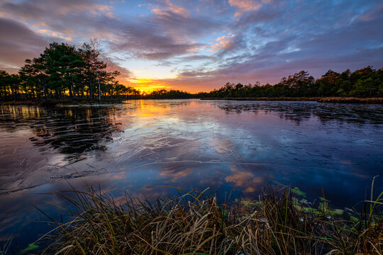 frozen swamp lake in autumn sunset  colorful sky covered with ice and grass in foreground and pine trees