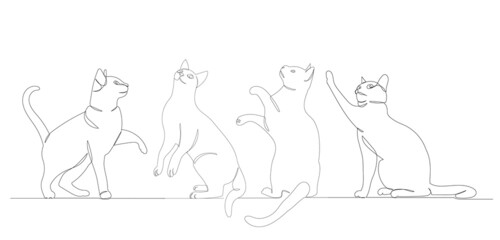 cats drawing by one continuous line, isolated, vector