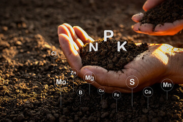 The fertile loamy soil for planting with the iconic technology in soil is the essential food of...