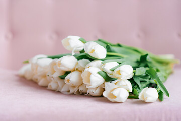 Fototapeta na wymiar A bouquet of white tulips lies on a pink surface and background