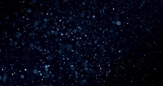 Natural Organic Dust Particles Floating On Black Background. Dynamic Dust Particles Randomly Float In Space. Shimmering Glittering Dust Particles With Bokeh. Slow motion on Black Background.