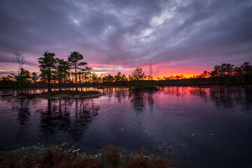 Fototapeta premium frozen swamp lake in autumn sunset colorful sky covered with ice and grass in foreground and pine trees