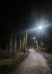 gravel trail at night illuminated with city light