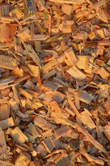 Vertical photo of an abstract drawing. Wooden shavings of a beautiful fawn color. Arranged in a chaotic manner