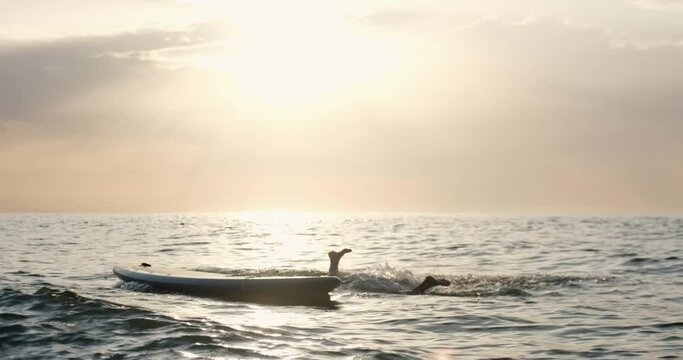 Wave makes sitting young woman wearing bikini swimsuit to fall from stand-up paddle board into sea water against sky with bright sunlight