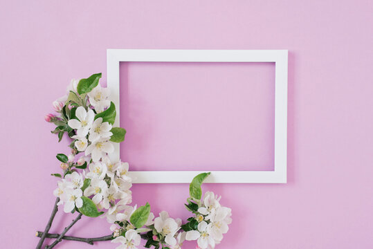 Banner with flower and empty white photo frame on pink background with copy space, space for free text. Framing workshop. Bright holiday certificate. Spring memories. Flat lay