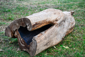 Hollow Wood Log on Green Grass in the middle of a Park