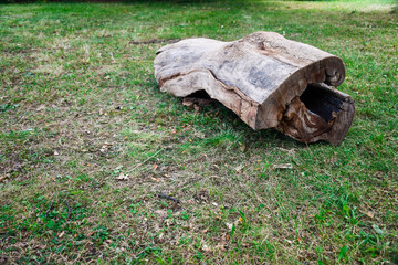 Hollow Wood Log on Green Grass in the middle of a Park