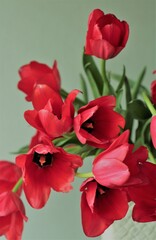 イルデフランス