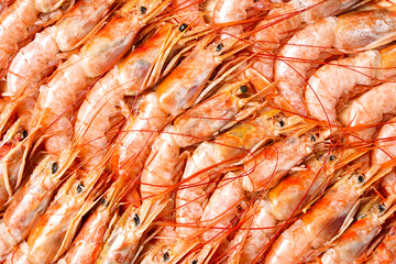 Lots of Argentine shrimps, langoustines or king tiger prawns. Background or texture