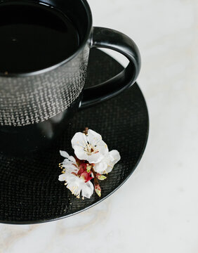 black textured cup saucer blooming spring cherry