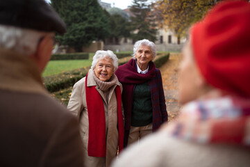 Obraz premium Group of happy senior friends on walk outdoors in town park in autumn, talking and laughing.