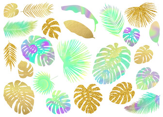 Modern colorful tropic leaves silhouettes. Clip art set on white