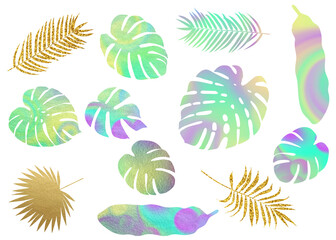 Fototapeta na wymiar Modern colorful tropic leaves silhouettes. Clip art set isolated on white