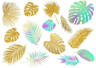 Fototapeta na wymiar Modern colorful tropic leaves silhouettes. Clip art set isolated