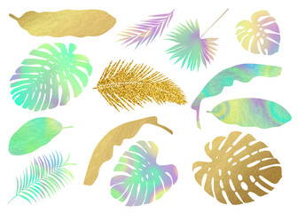 Fototapeta na wymiar Modern colorful tropic leaves silhouettes. Clip art on white background
