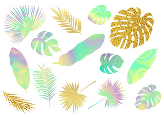 Fototapeta na wymiar Modern tropic leaves silhouettes. Clip art set on white