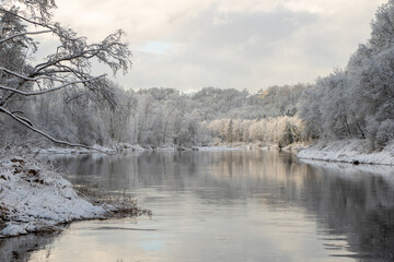 Cold winter day in December at the river Gauja with frost in trees in Sigulda in Latvia