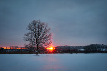 light pillar in cold winter evening sunset in rural country area with tree