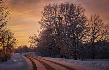 rural landscape tree cloudy morning sunset cold winter with snow and road and trees