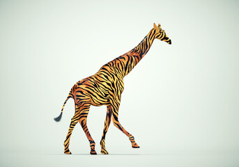 Giraffe with tiger skin. - obrazy, fototapety, plakaty