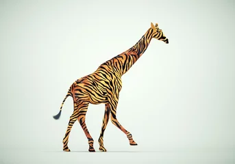 Foto op Plexiglas Giraffe with tiger skin. © Mihaela