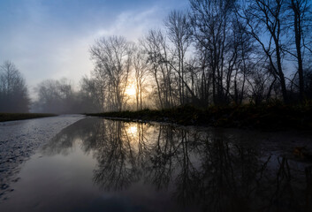 Obraz premium Bare trees near Tübingen Germany on a foggy winter morning reflected in a puddle on a wet dirtway in rural agricultural landscape. Morning scenery with sunrise after rainy night colorful sky gradient