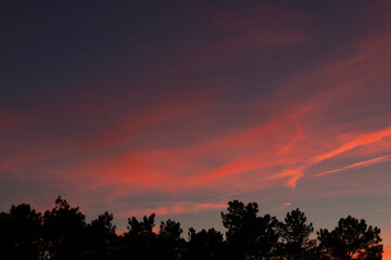 Atardecer