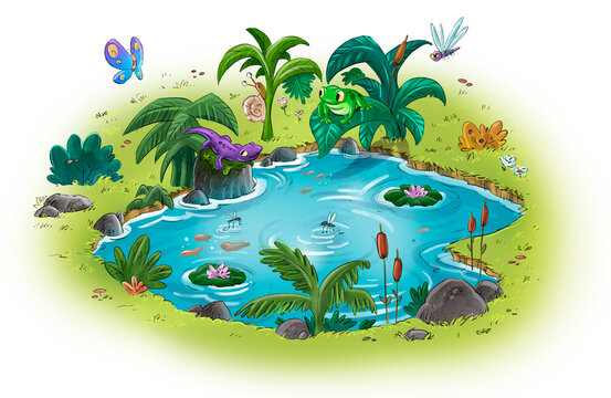 Illustration of small pond with animals