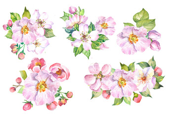 spring flowers illustration.watercolor