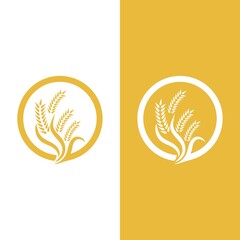 Wheat logo vector icon illustration