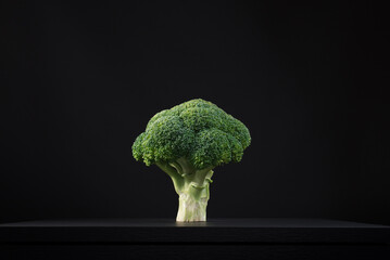 Un florete crudo de brócoli fresco. Fondo de árbol verde aislado sobre fondo negro