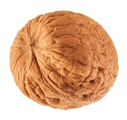 Walnut isolated on white background