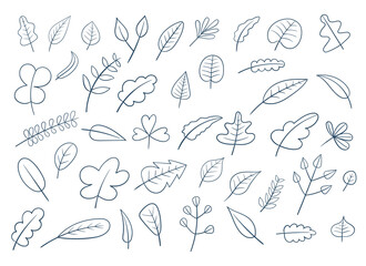 Autumn leaf vector design illustration isolated on white background