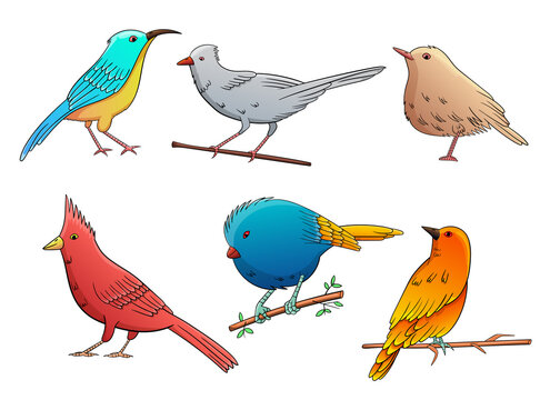 Birds set vector design illustration isolated on white background
