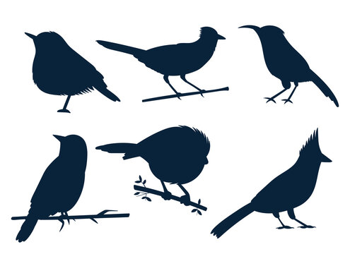 Birds set vector design illustration isolated on white background