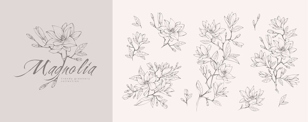 Fototapeta Magnolia flower logo and branch set. Hand drawn line wedding herb, elegant leaves for invitation save the date card. Botanical rustic obraz