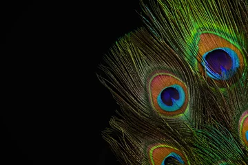 Deurstickers Beautiful bright peacock feathers on black background, closeup. Space for text © New Africa