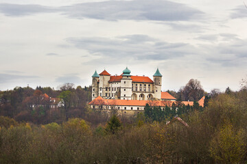 Old Polish Castle  in Nowy Visnich, Poland