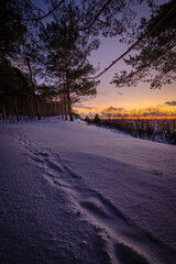 foot trail in snow winter cold evening dusk by the sea beach sunset